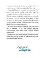 Referāts 'Latviešu etnogrāfiskais raksts. Latviešu raksta elementi - simboli', 4.