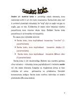 Referāts 'Latviešu etnogrāfiskais raksts. Latviešu raksta elementi - simboli', 8.