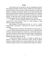 Referāts 'AS "Cēsu alus" bezalkaholisko dzērienu tirgus izpēte', 3.