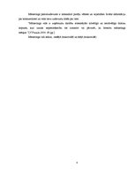 Referāts 'AS "Cēsu alus" bezalkaholisko dzērienu tirgus izpēte', 8.