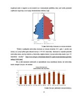 Referāts 'AS "Cēsu alus" bezalkaholisko dzērienu tirgus izpēte', 10.