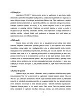 Referāts 'AS "Cēsu alus" bezalkaholisko dzērienu tirgus izpēte', 21.