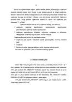 Diplomdarbs 'Finanšu piesaistes iespējas uzņēmuma SIA „T” attīstībai', 13.