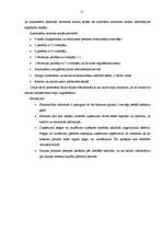 Diplomdarbs 'Finanšu piesaistes iespējas uzņēmuma SIA „T” attīstībai', 15.