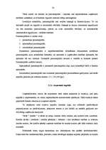 Diplomdarbs 'Finanšu piesaistes iespējas uzņēmuma SIA „T” attīstībai', 24.