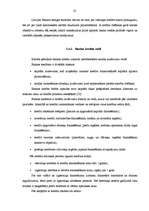 Diplomdarbs 'Finanšu piesaistes iespējas uzņēmuma SIA „T” attīstībai', 32.