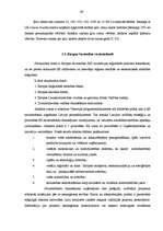 Diplomdarbs 'Finanšu piesaistes iespējas uzņēmuma SIA „T” attīstībai', 39.