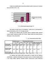 Diplomdarbs 'Finanšu piesaistes iespējas uzņēmuma SIA „T” attīstībai', 43.
