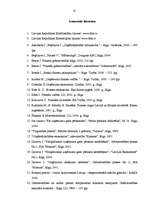 Diplomdarbs 'Finanšu piesaistes iespējas uzņēmuma SIA „T” attīstībai', 61.