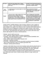 Konspekts 'Danielas Stīlas romāna "Hiroko" analīze', 4.