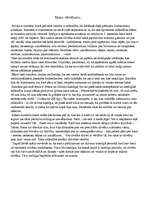 Konspekts 'Danielas Stīlas romāna "Hiroko" analīze', 5.