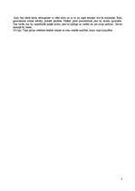 Konspekts 'Aijas tēla raksturojums J.Jaunsudrabiņa darbā "Aija"', 4.