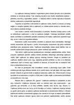 Referāts 'Uzņēmējdarbības vadība', 3.