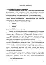 Referāts 'Uzņēmējdarbības vadība', 5.