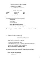 Referāts 'Uzņēmējdarbības vadība', 15.