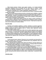 Referāts 'Kontrole kā viena no vadības cikla funkcijām', 2.
