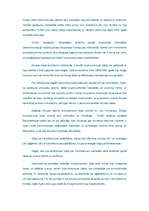 Eseja 'Izpratne par Eiropas ideju Rietumeiropā un Austrumeiropā', 2.