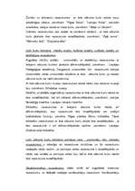 Referāts 'Lielo burtu rašanās un lietojums', 4.