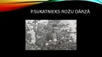 Prezentācija 'Dvietes selekcionārs - P.Sukatnieks', 7.