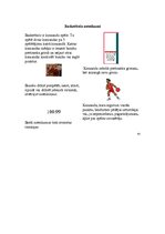 Referāts 'Basketbols. Basketbola vēsture, pirmsākumi', 6.