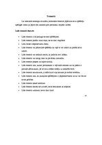 Referāts 'Basketbols. Basketbola vēsture, pirmsākumi', 8.