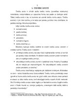 Referāts 'Normatīvo aktu hierarhijas nozīme kolīziju risināšanā', 5.