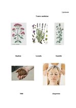 Diplomdarbs 'Rīgas iedzīvotāju informētība par migrēnu', 8.