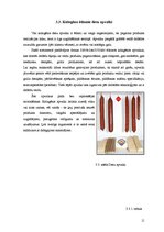 Referāts 'Gaļas kūpinājumu iepakošana', 11.