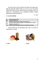 Referāts 'Gaļas kūpinājumu iepakošana', 14.