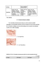 Referāts 'Gaļas kūpinājumu iepakošana', 20.