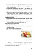 Referāts 'Gaļas kūpinājumu iepakošana', 38.