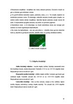 Referāts 'Gaļas kūpinājumu iepakošana', 39.