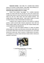 Referāts 'Gaļas kūpinājumu iepakošana', 40.