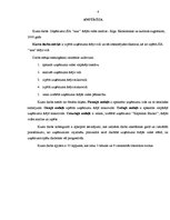 Referāts 'Uzņēmuma SIA "xxx" ārējā vide', 4.