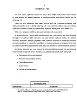 Referāts 'Uzņēmuma SIA "xxx" ārējā vide', 6.