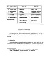 Referāts 'Uzņēmuma SIA "xxx" ārējā vide', 7.