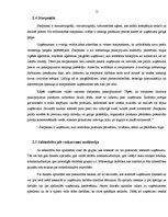 Referāts 'Uzņēmuma SIA "xxx" ārējā vide', 11.