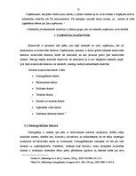 Referāts 'Uzņēmuma SIA "xxx" ārējā vide', 13.