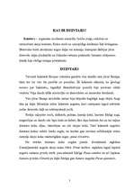 Referāts 'Dzintars', 3.