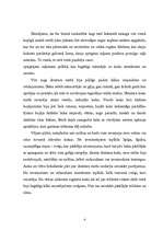 Referāts 'Dzintars', 4.