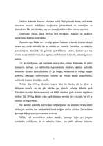 Referāts 'Dzintars', 7.