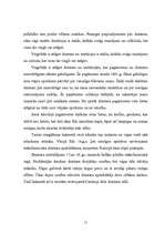 Referāts 'Dzintars', 11.