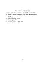 Referāts 'Dzintars', 20.