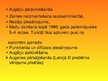 Prezentācija 'Pārtuksnešošanās', 12.