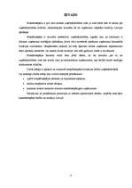 Referāts 'Maksātnespējas process, tā pazīmes un risinājumi', 4.