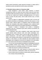 Referāts 'Maksātnespējas process, tā pazīmes un risinājumi', 14.