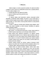 Referāts 'Maksātnespējas process, tā pazīmes un risinājumi', 19.