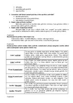 Paraugs 'Politikas jēdziens un līdzdalības formas', 2.