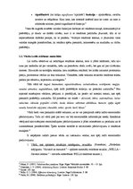 Referāts 'Reklāmas teksti "Bite Latvija" 2009.gada drukāto mediju reklāmās', 5.