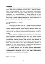 Referāts 'Reklāmas teksti "Bite Latvija" 2009.gada drukāto mediju reklāmās', 13.